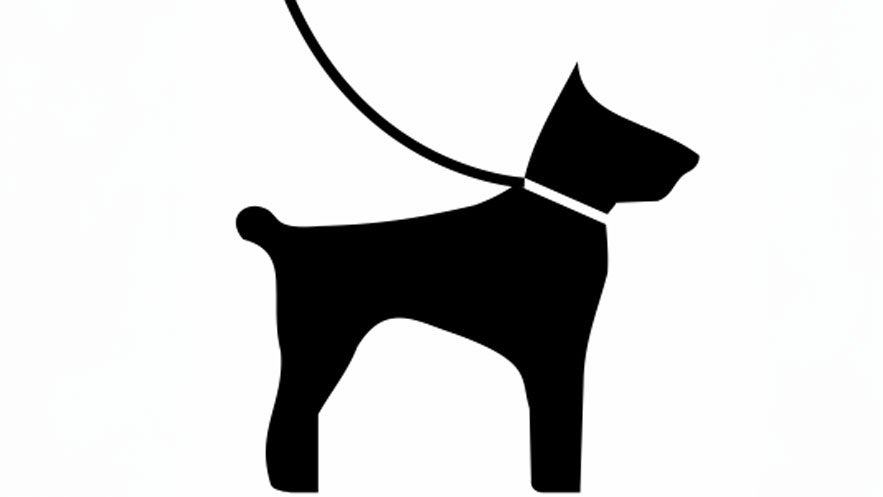 Symbol eines angeleinten Hundes in Schwarz auf weißem Hintergrund, als Hinweis zur Leinenpflicht.